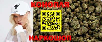 мдпв Ставрополь