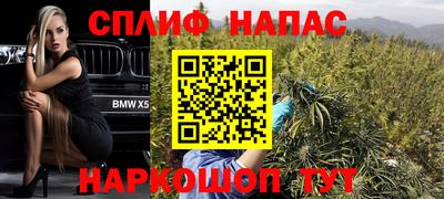 мдпв Ставрополь