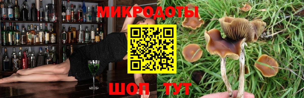 Галлюциногенные грибы Psilocybine cubensis Надым